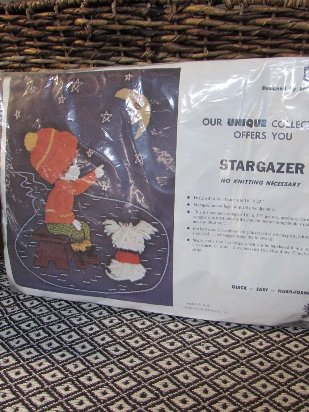 Vintage 1974 LeeWards Embroidery Kit Stargazer 16x22 Boy Dog Moon